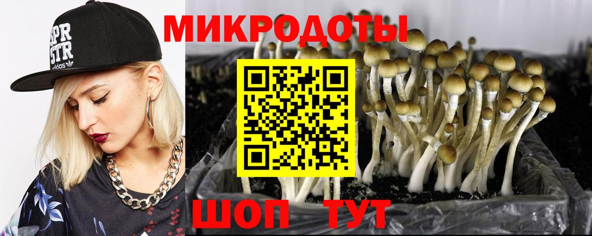 Заинск  Галлюциногенные грибы GOLDEN TEACHER  Вход с VPN 